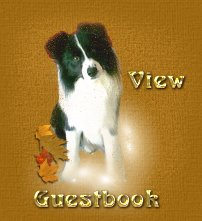 Johnny invites you to view our guestbook.